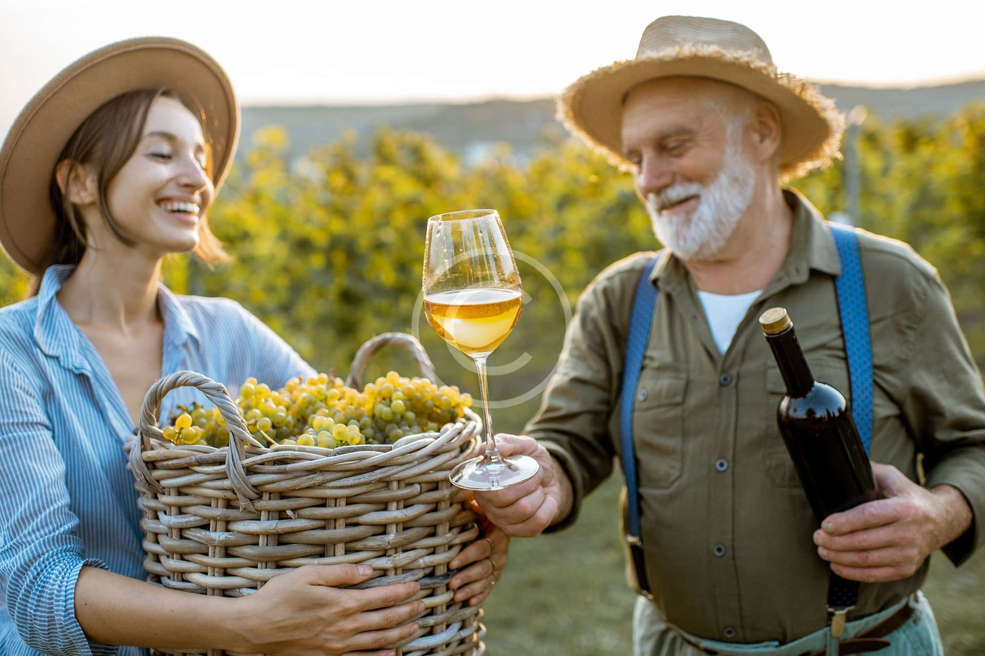 Winemakers’ Association