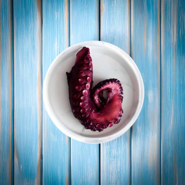 Pulpo del Cantábrico cocido  cocido en su jugo