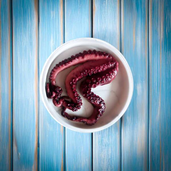 Pulpo cocido en su jugo  cocido en su jugo