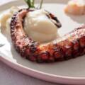 El mejor pulpo, el del Cantábrico
