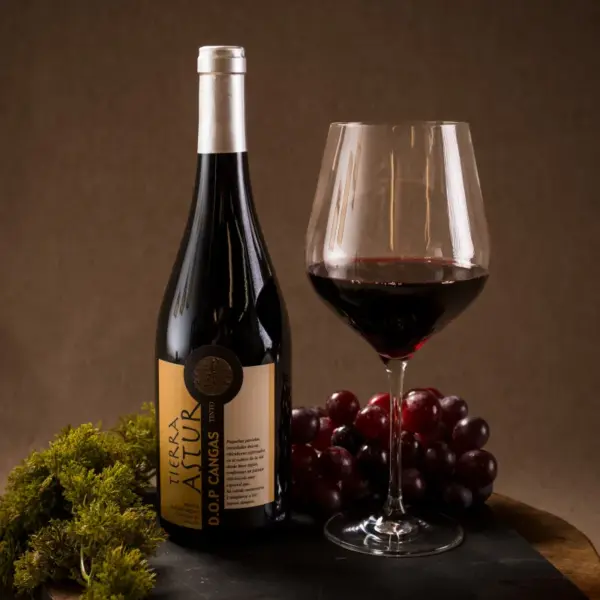 Vino tinto D.O.P Cangas (75cl)